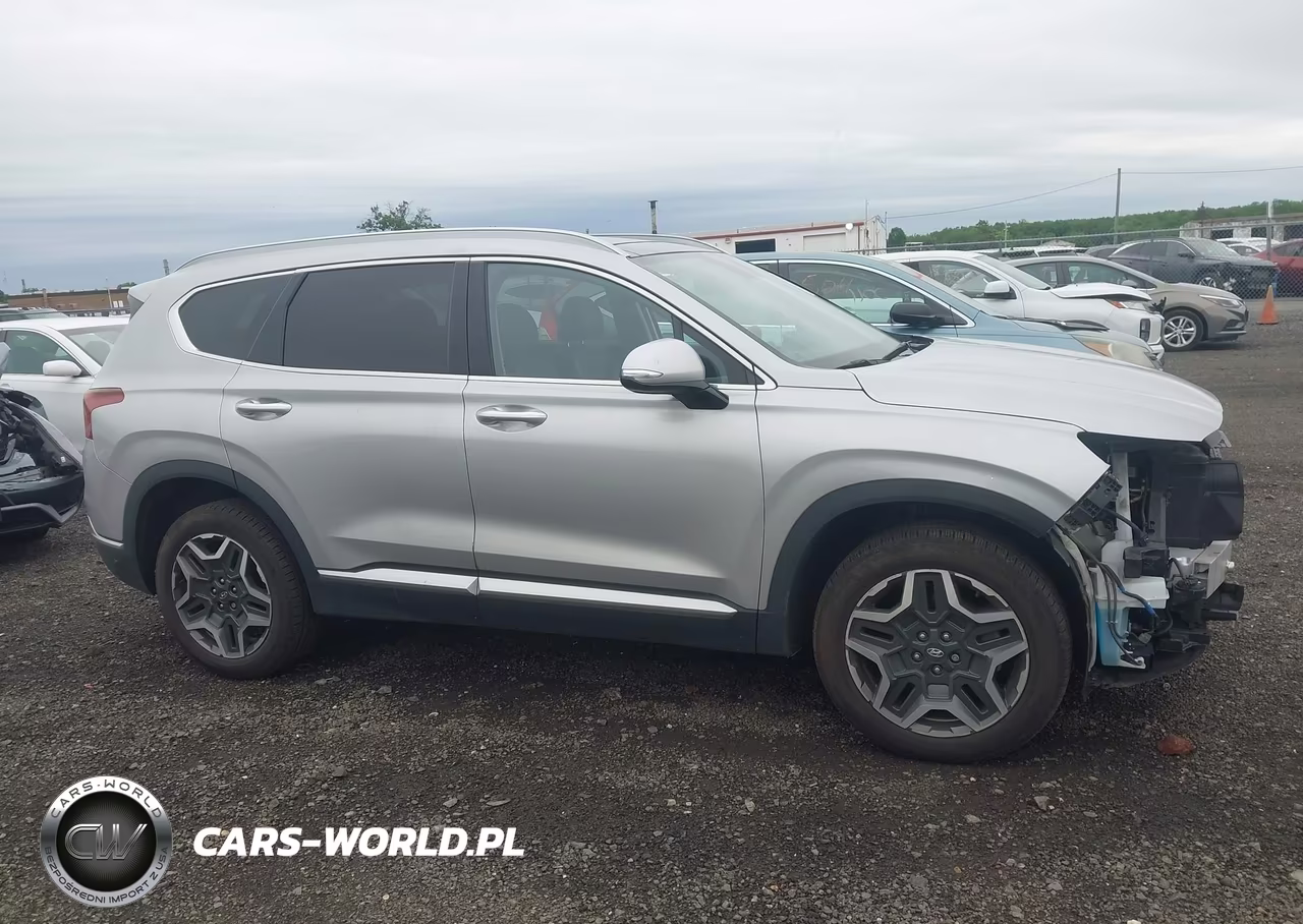 2021 Hyundai Santa Fe Hybrid Sel Premium VIN:KM8S3DA1XMU010883 - 13