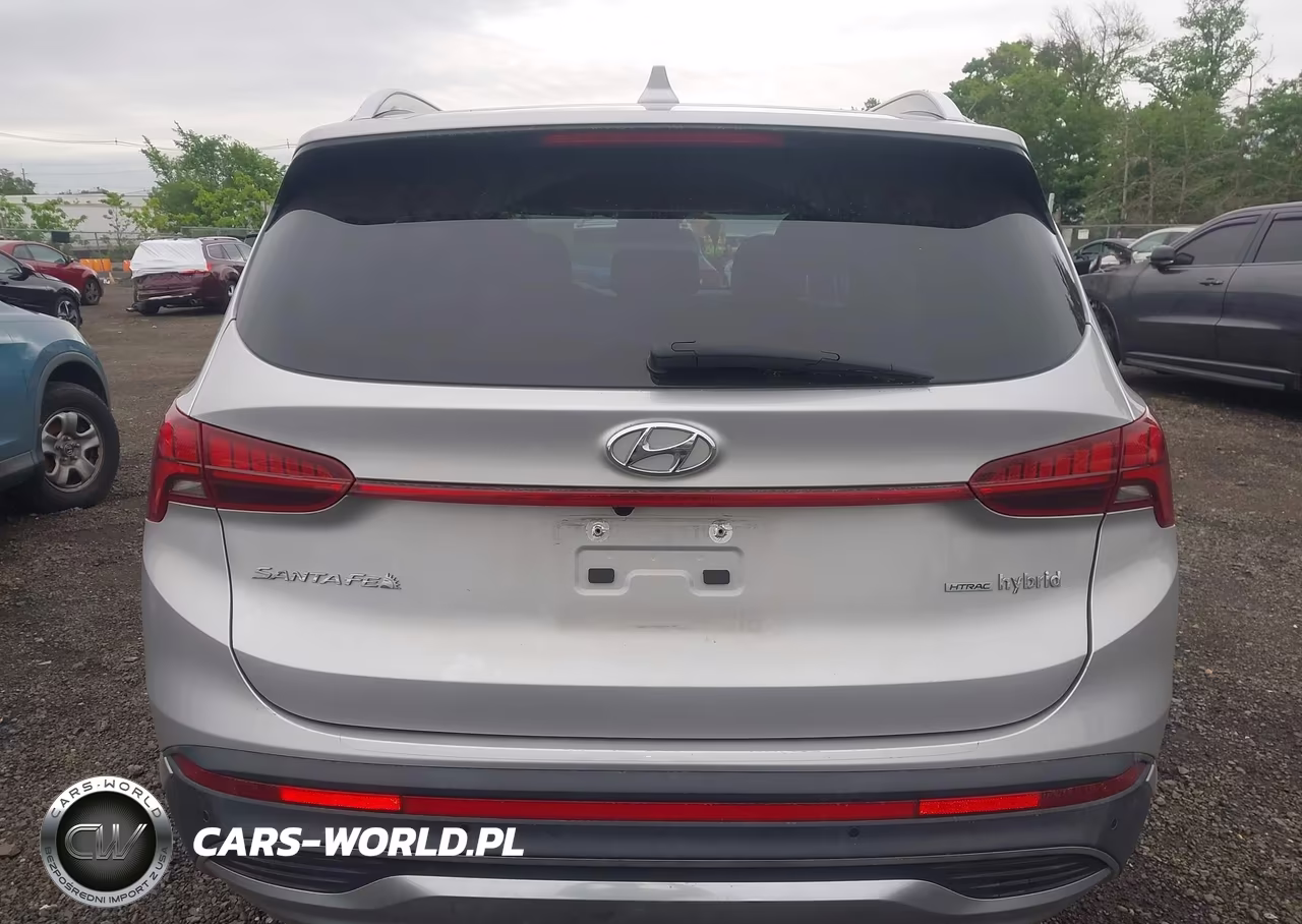 2021 Hyundai Santa Fe Hybrid Sel Premium VIN:KM8S3DA1XMU010883 - 16