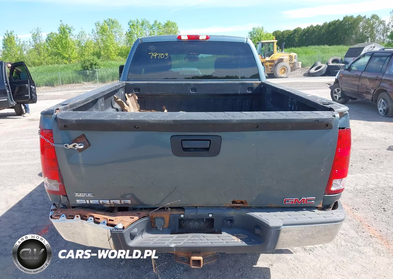 2009 GMC Sierra 1500 Work Truck VIN:2GTEK190191136583 - 17