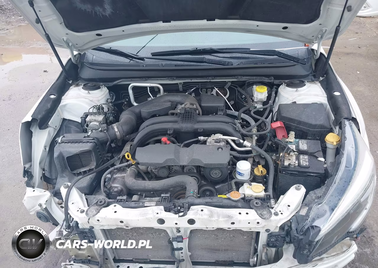 2019 Subaru Legacy 2.5I Premium VIN:4S3BNAF61K3011389 - 10