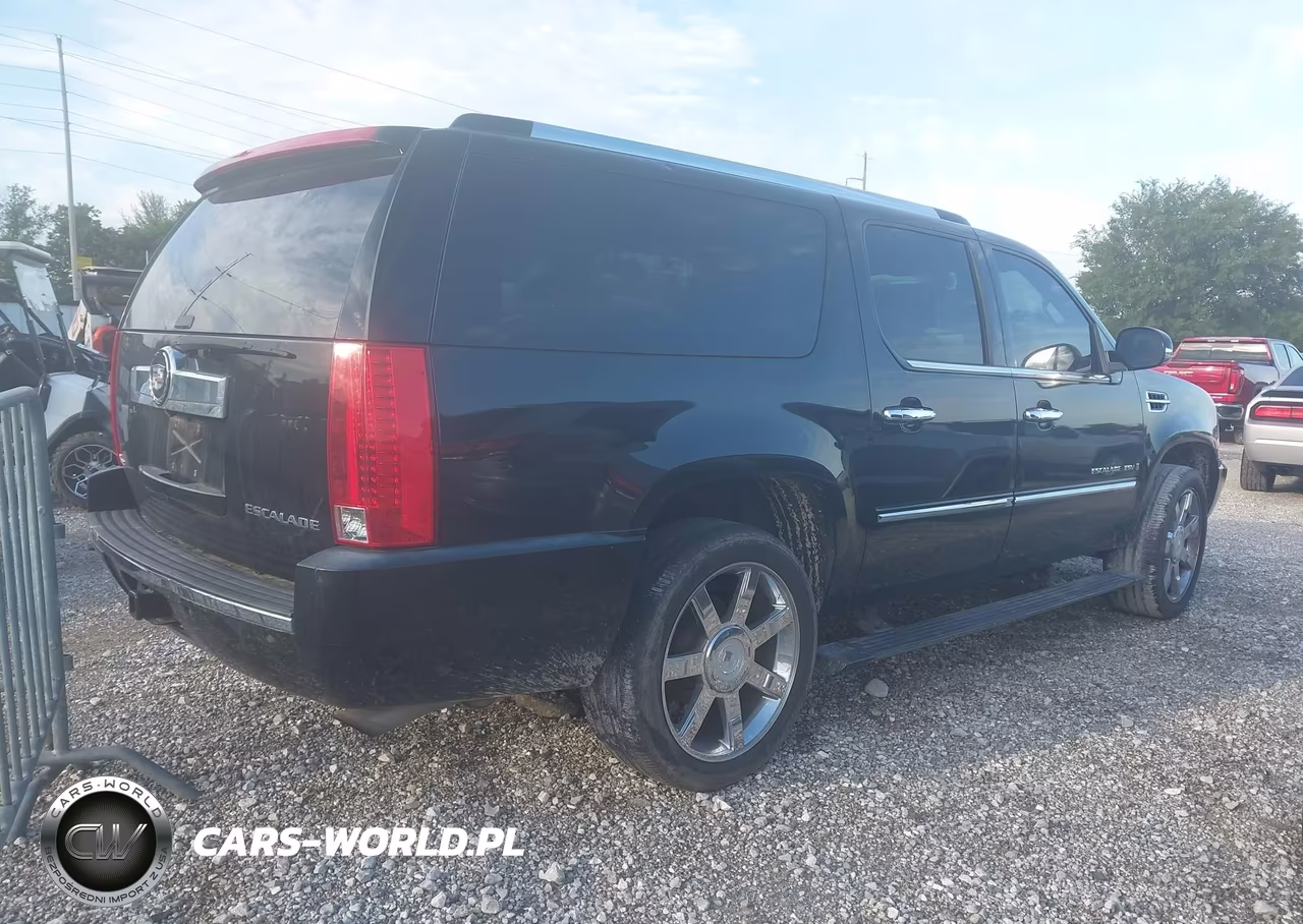 2008 Cadillac Escalade Esv Standard VIN:1GYFK66838R269650 - 4
