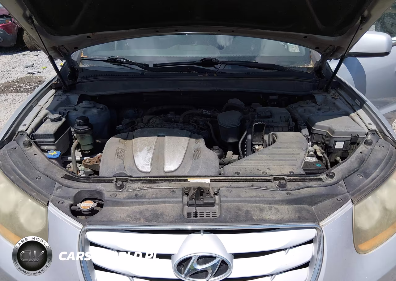 2010 Hyundai Santa Fe Limited V6 VIN:5NMSK4AG2AH341374 - 10