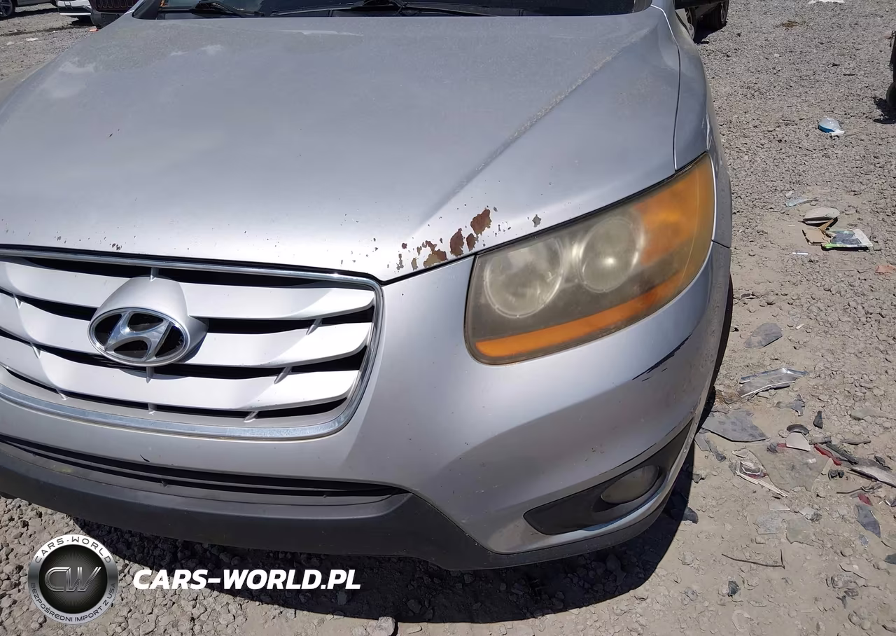 2010 Hyundai Santa Fe Limited V6 VIN:5NMSK4AG2AH341374 - 14