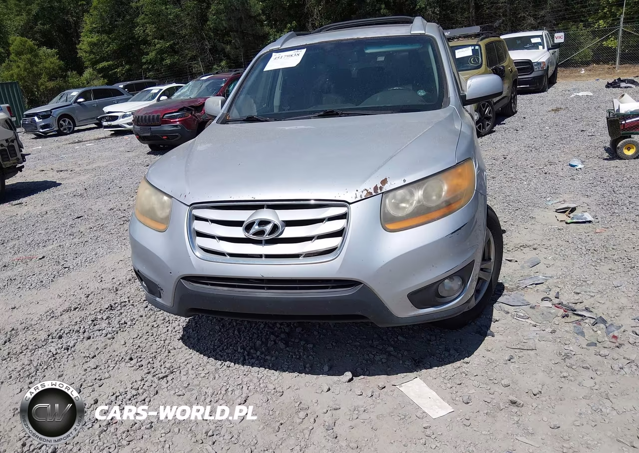 2010 Hyundai Santa Fe Limited V6 VIN:5NMSK4AG2AH341374 - 6