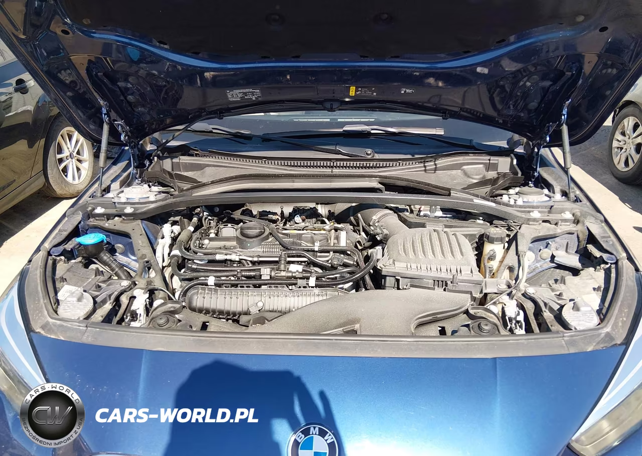 2023 BMW 228 Gran Coupe I xDrive VIN:WBA73AK01P7N03141 - 10