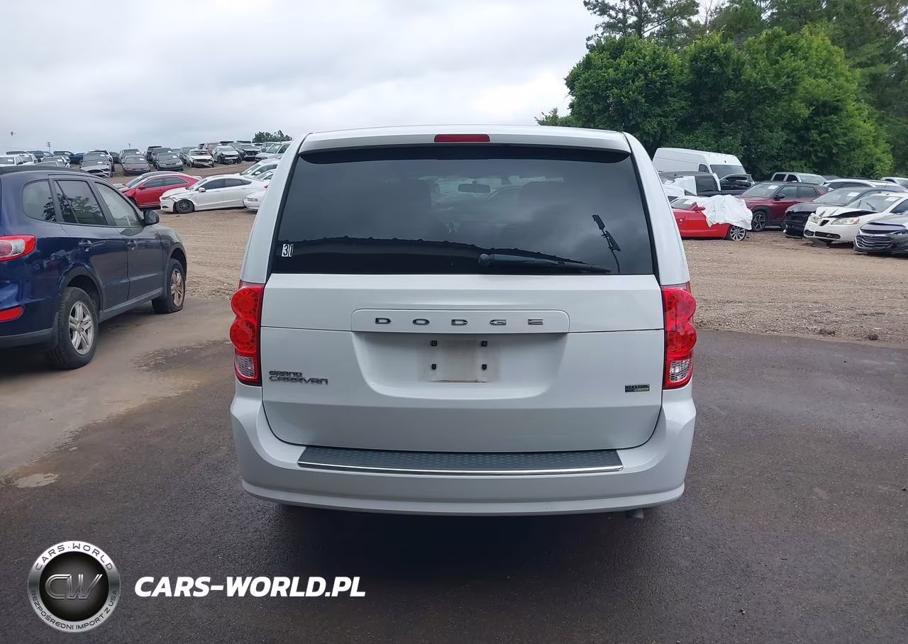 2014 Dodge Grand Caravan Se VIN:2C4RDGBG6ER379923 - 19