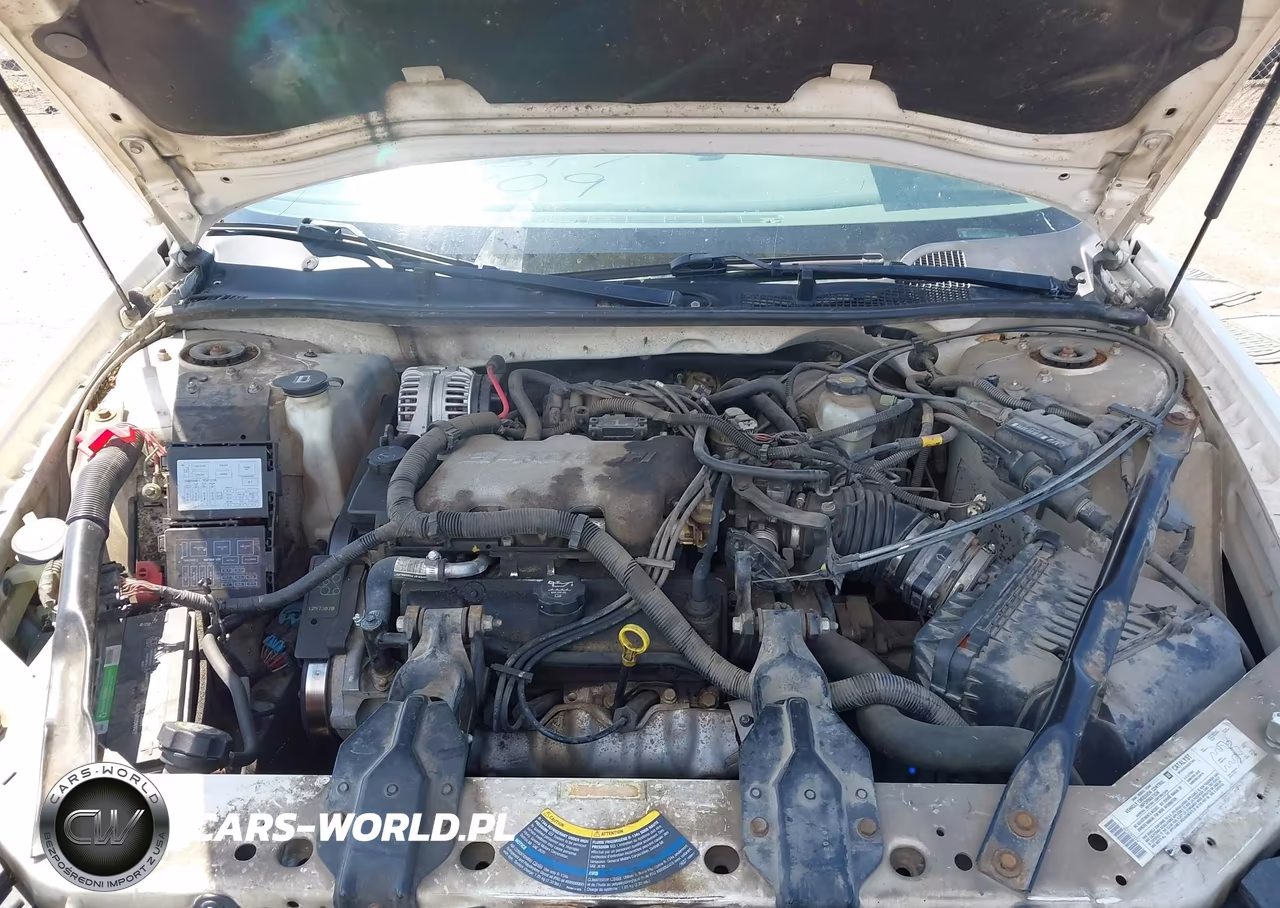 2004 Chevrolet Impala VIN:2G1WF52E249143115 - 10