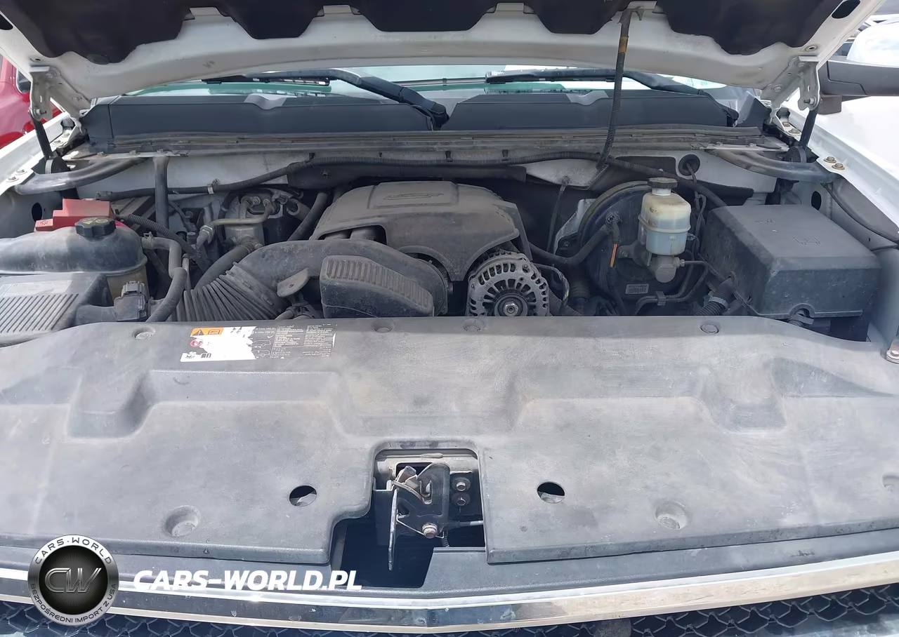 2011 Chevrolet Silverado 1500 Lt VIN:1GCRCSE04BZ255963 - 10
