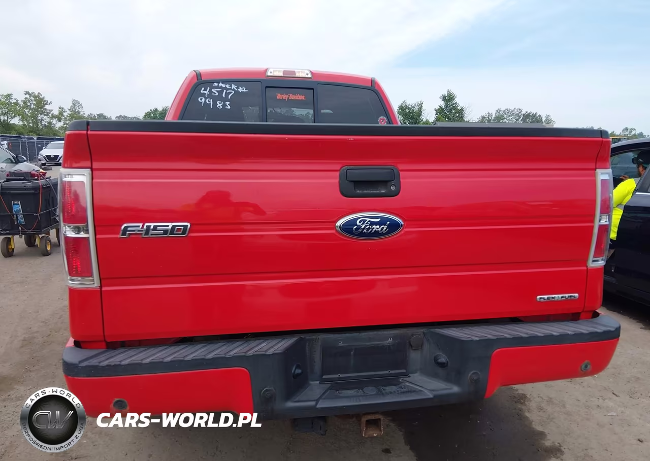 2011 Ford F-150 Xlt VIN:1FTEX1CMXBFA18611 - 16