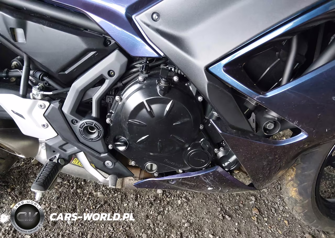 2024 Kawasaki Ex650 P VIN:ML5EXEP12RDAC6594 - 8