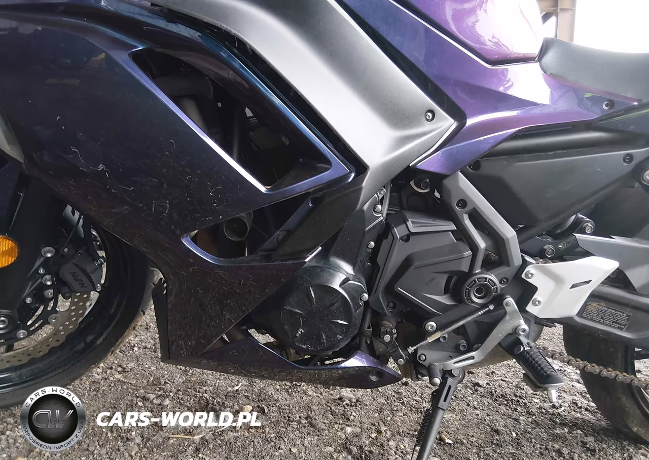2024 Kawasaki Ex650 P VIN:ML5EXEP12RDAC6594 - 9