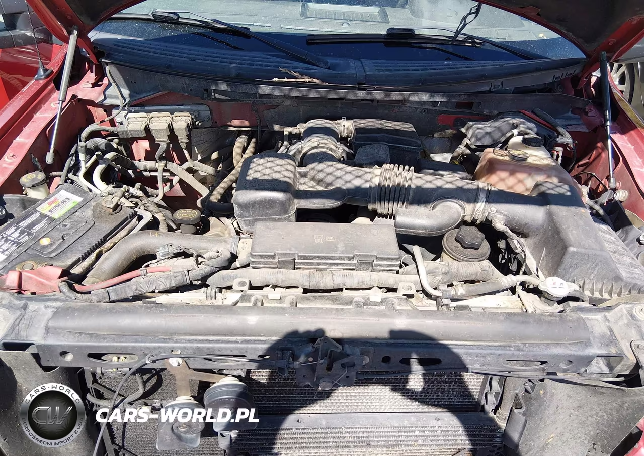 2010 Ford F-150 Fx4-Lariat-Xl-Xlt VIN:1FTFX1EV0AFB13249 - 10