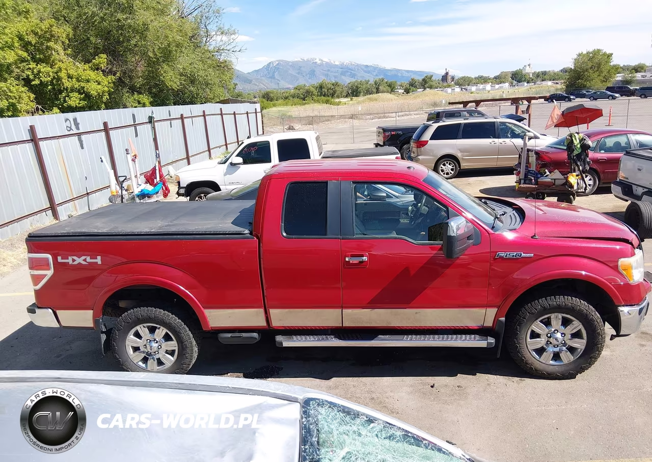 2010 Ford F-150 Fx4-Lariat-Xl-Xlt VIN:1FTFX1EV0AFB13249 - 13