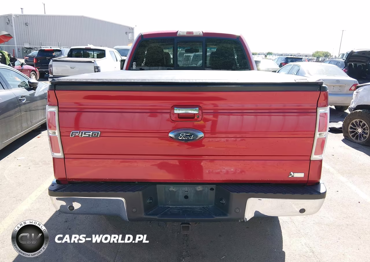 2010 Ford F-150 Fx4-Lariat-Xl-Xlt VIN:1FTFX1EV0AFB13249 - 16