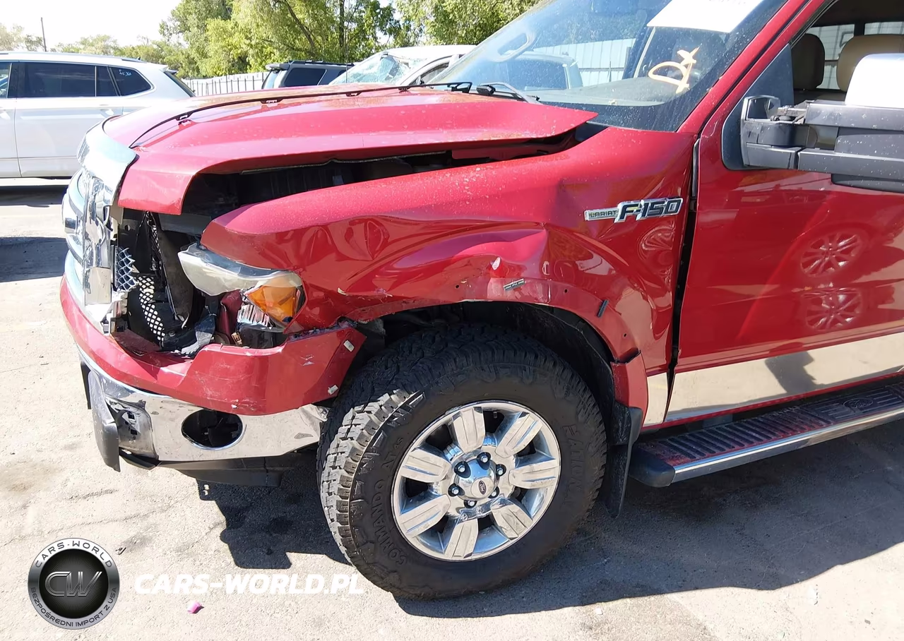 2010 Ford F-150 Fx4-Lariat-Xl-Xlt VIN:1FTFX1EV0AFB13249 - 6