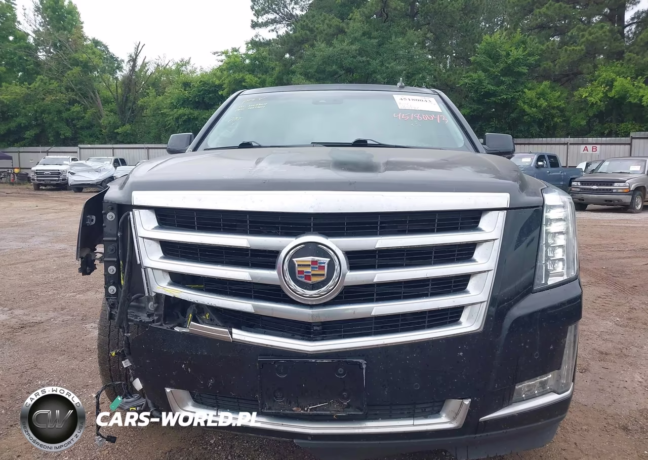 2015 Cadillac Escalade Luxury VIN:1GYS4BKJ0FR163941 - 12