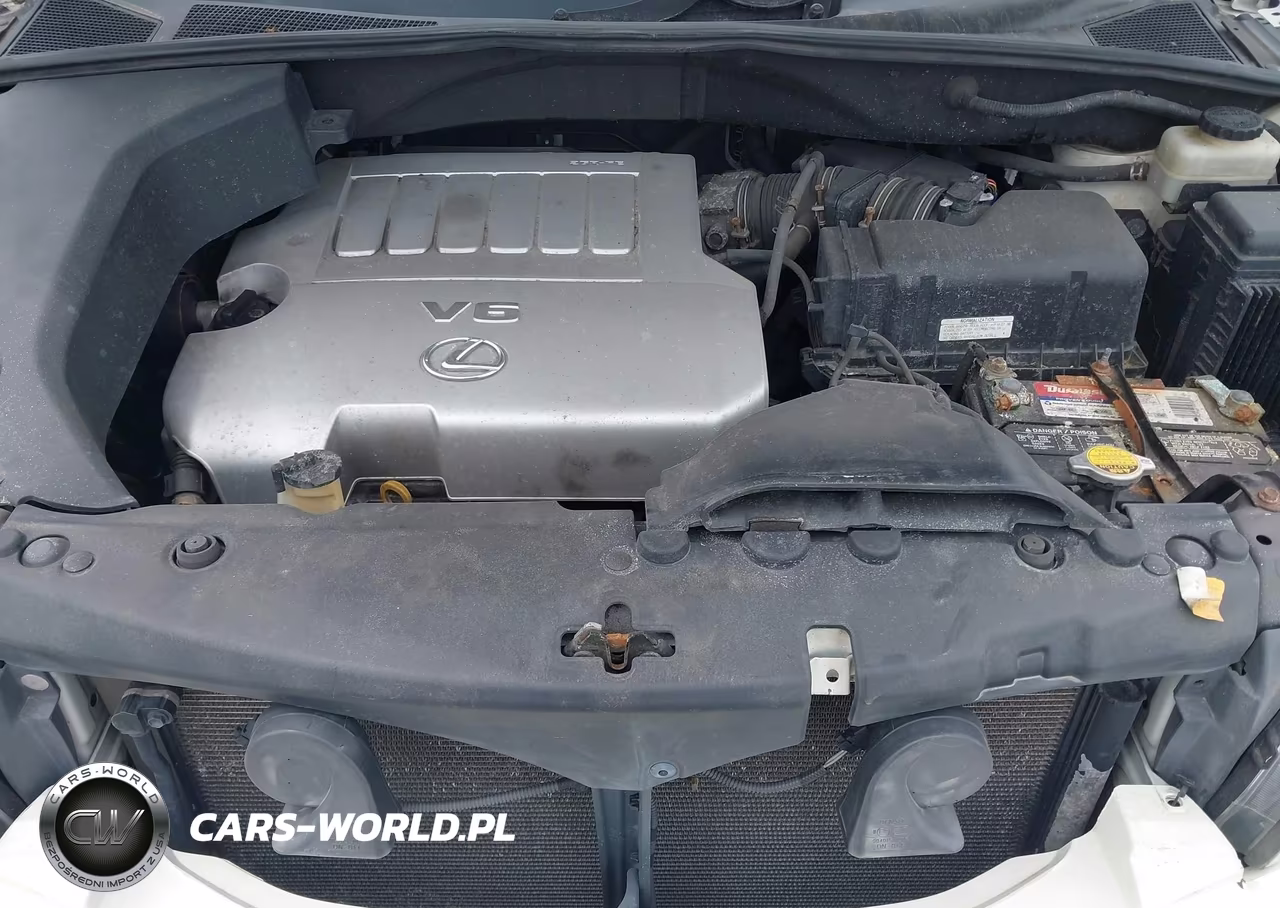 2009 Lexus Rx 350 VIN:2T2HK31U09C102753 - 10