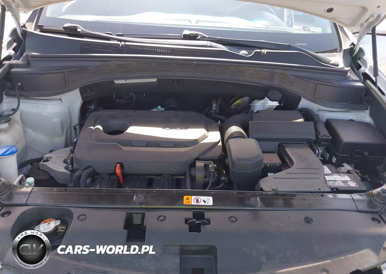 2018 Hyundai Santa Fe Sport 2.4L VIN:5XYZU3LB3JG500501 - 10