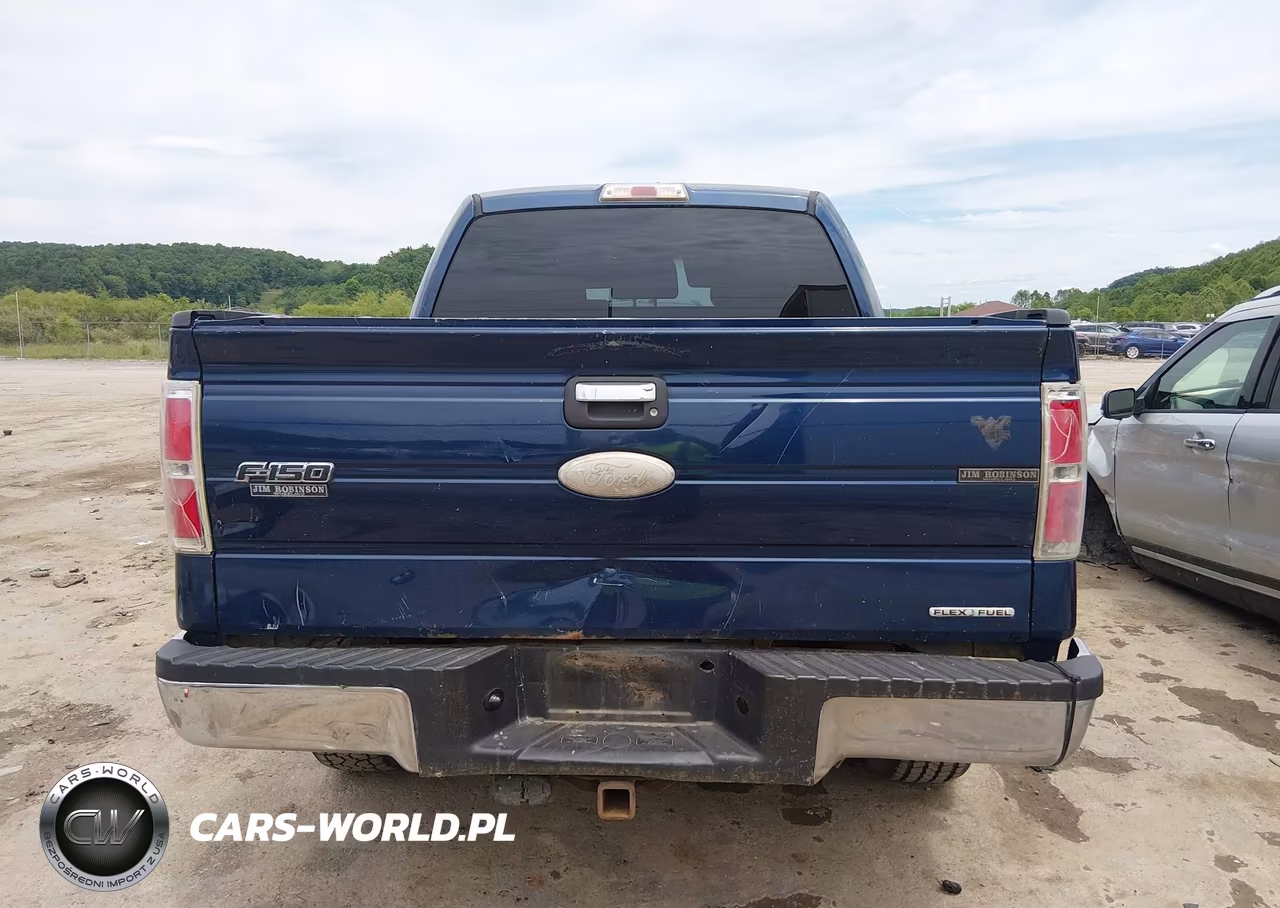 2011 Ford F-150 Xlt VIN:1FTFW1EF2BFC03953 - 17