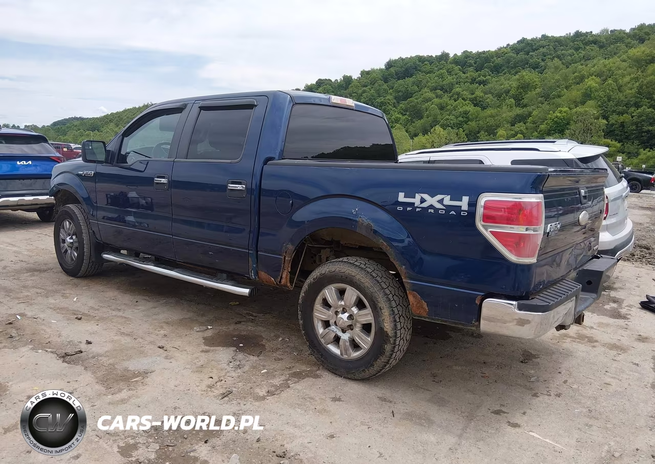 2011 Ford F-150 Xlt VIN:1FTFW1EF2BFC03953 - 3