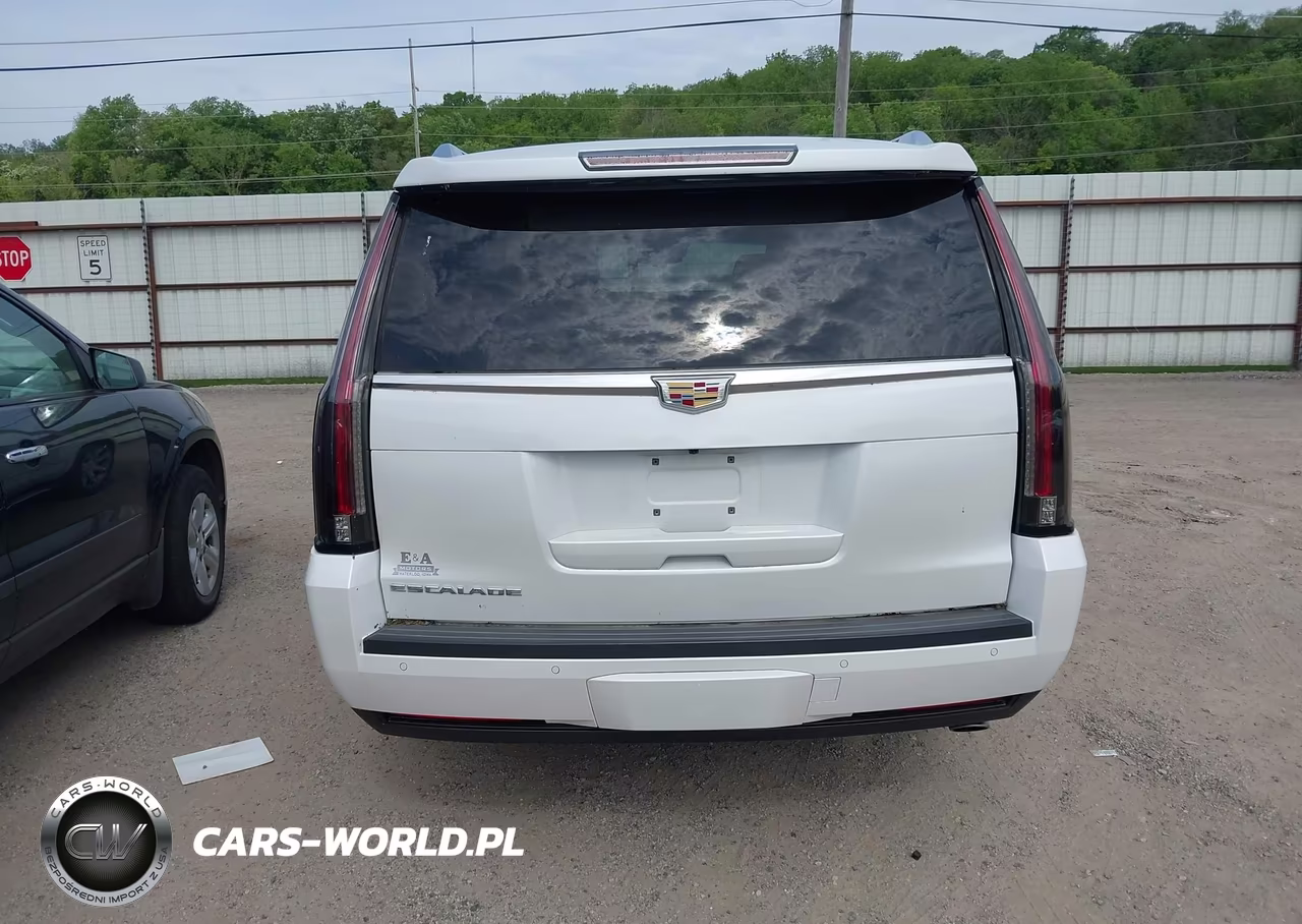 2016 Cadillac Escalade Esv Luxury Collection VIN:1GYS4HKJ4GR161937 - 17