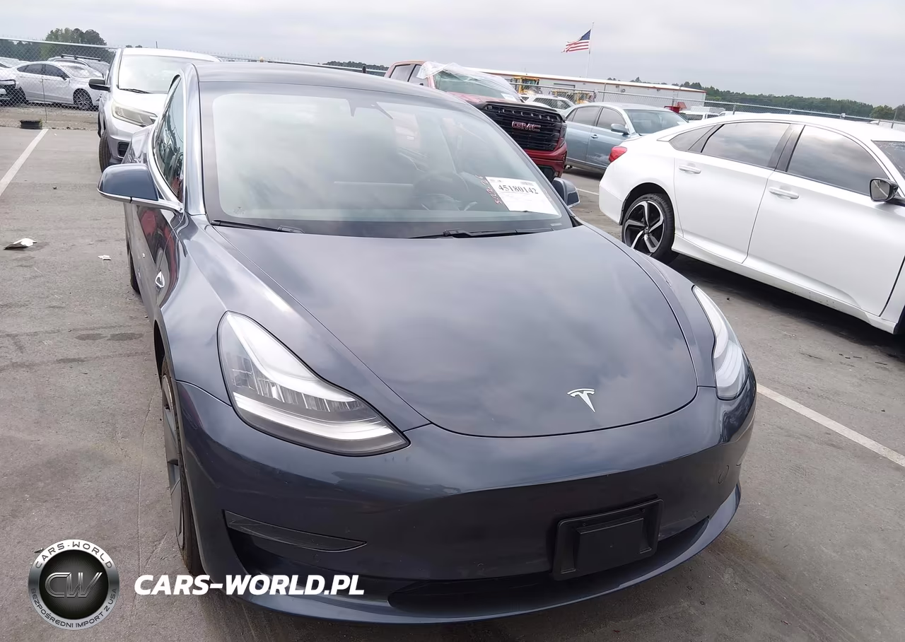 2020 Tesla Model 3 Standard Range Plus Rear-Wheel Drive-Standard Range Rear-Wheel Drive VIN:5YJ3E1EA2LF736708 - 11