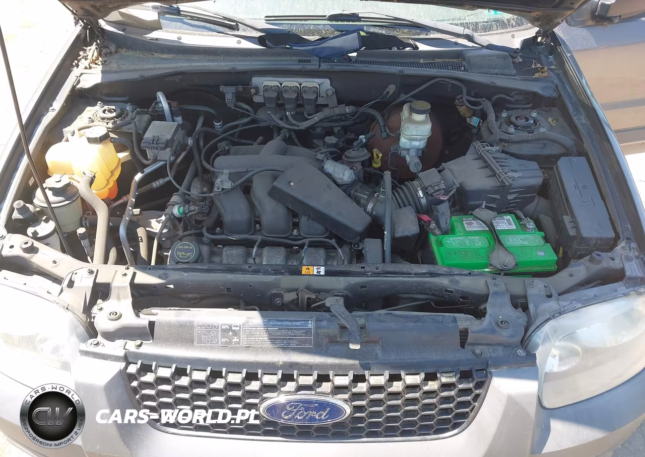 2005 Ford Escape Xlt VIN:1FMYU93165KA52093 - 10