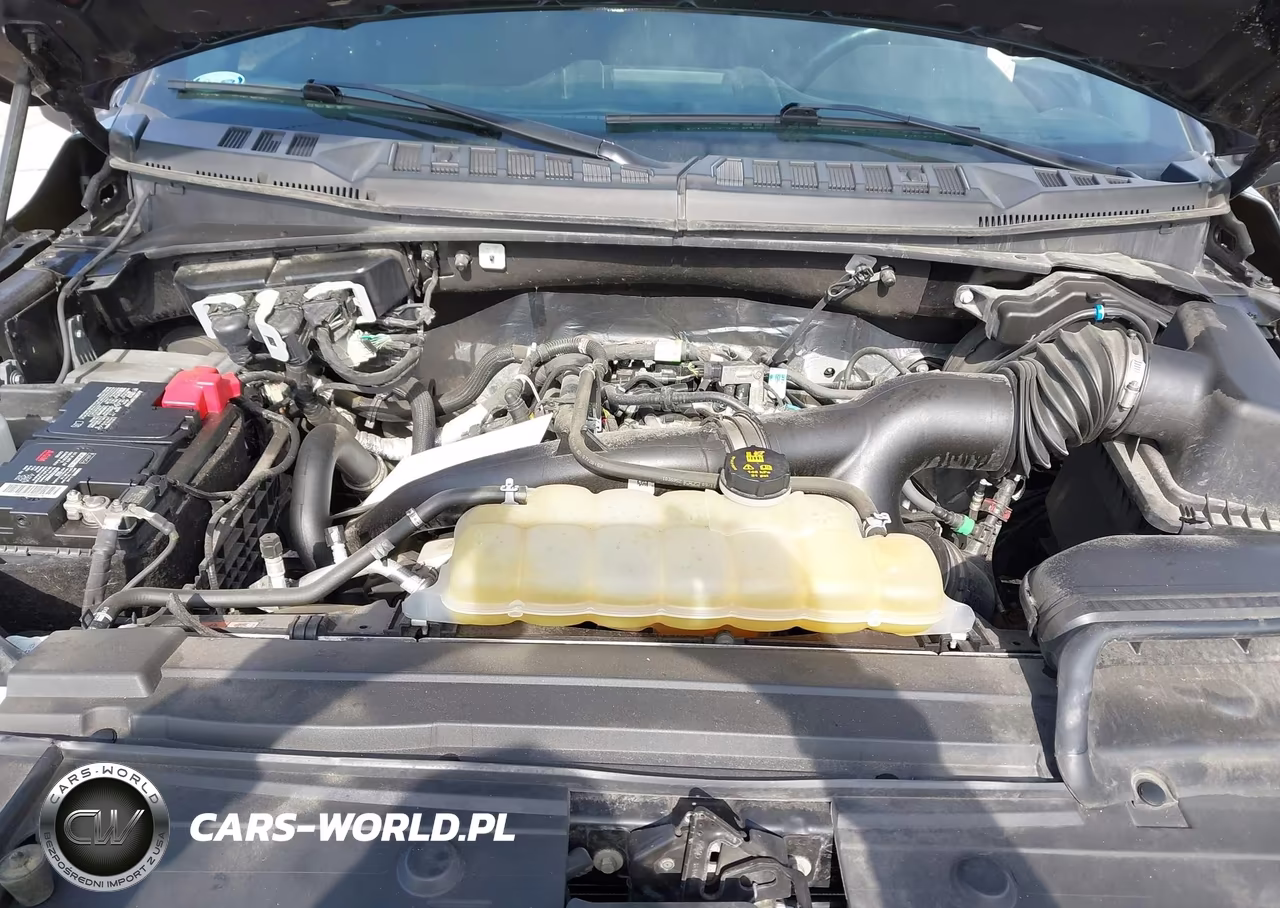 2020 Ford F-150 Xlt VIN:1FTEW1EP7LKF34802 - 10