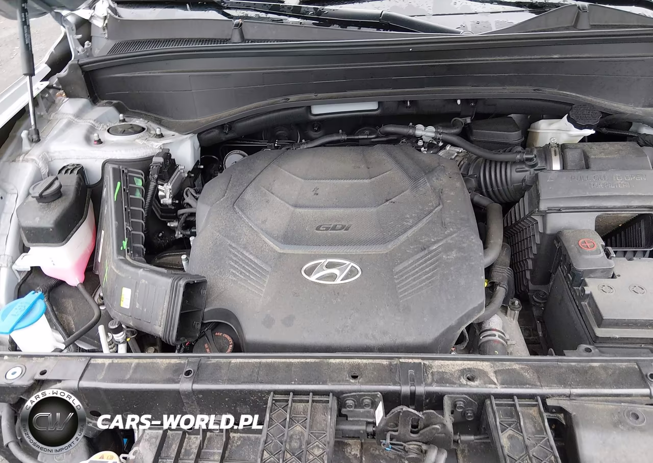 2025 Hyundai Palisade Sel VIN:KM8R2DGE2SU829931 - 10