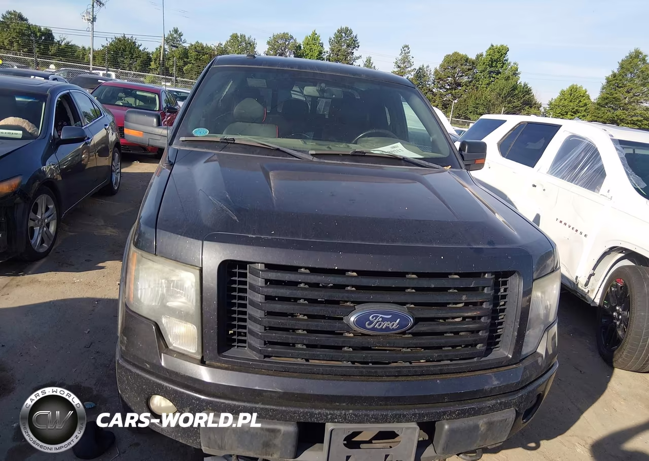 2012 Ford F-150 Fx4 VIN:1FTFX1EF2CFC29399 - 12