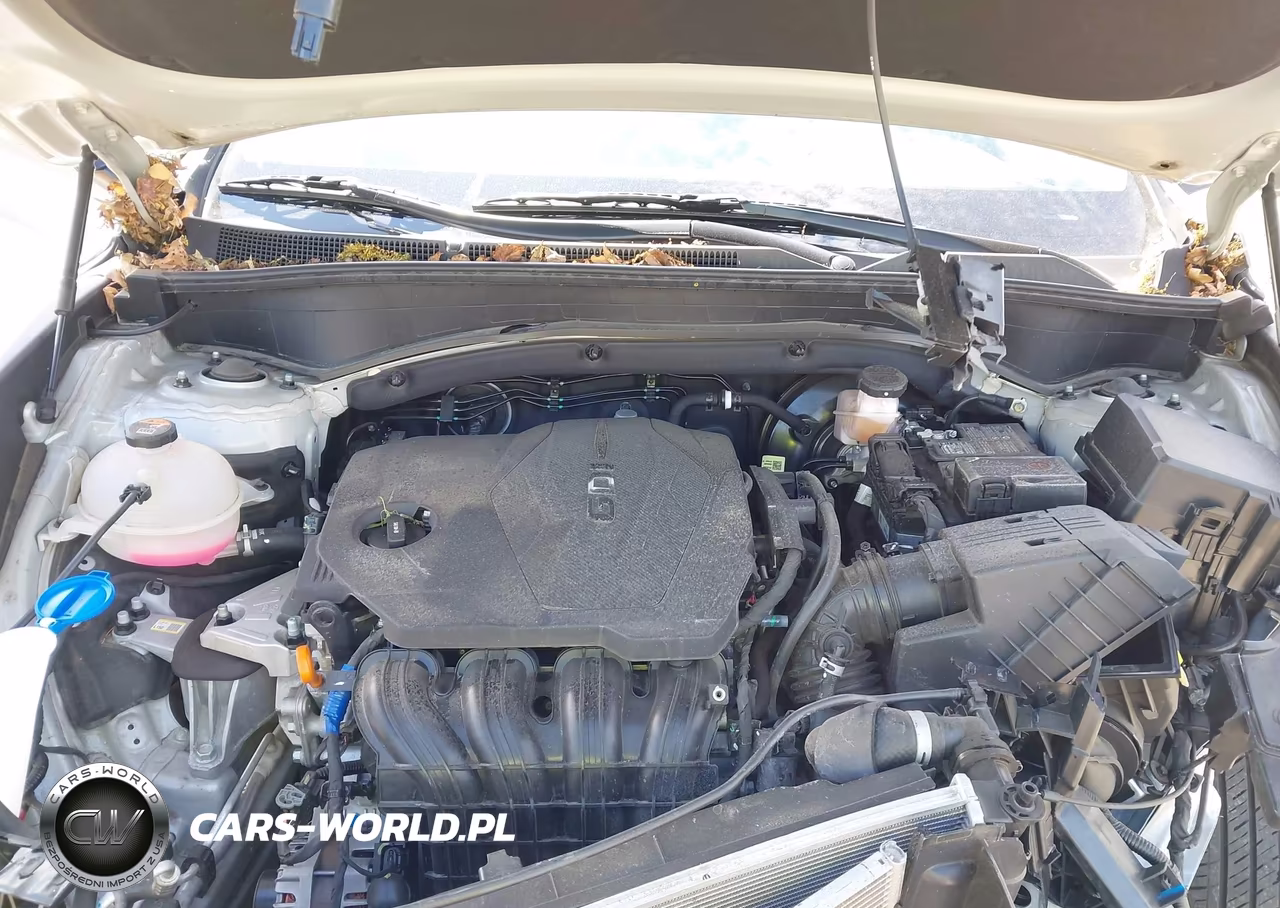 2023 Hyundai Santa Fe Sel VIN:5NMS2DAJ4PH602363 - 10