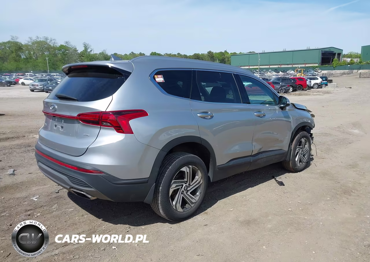 2023 Hyundai Santa Fe Sel VIN:5NMS2DAJ4PH602363 - 4