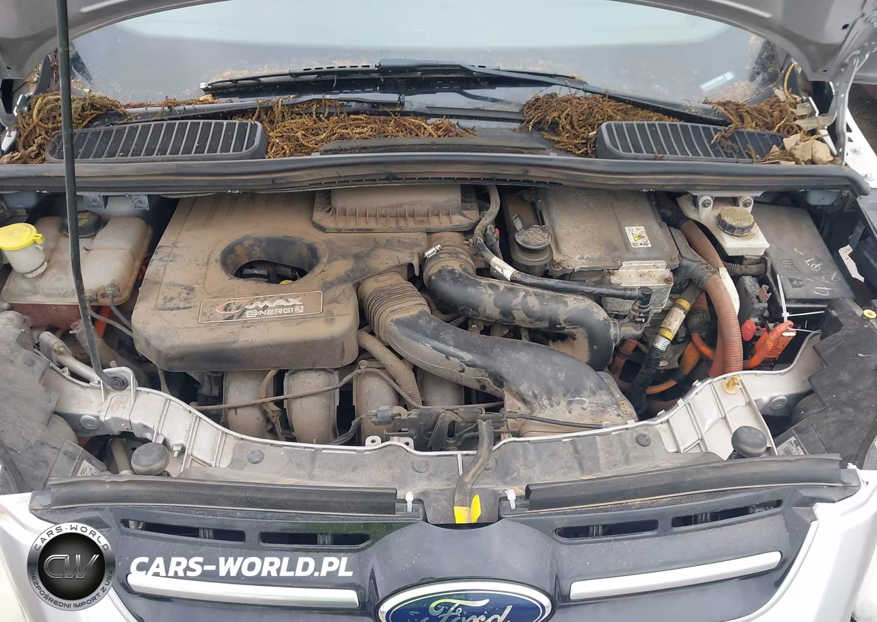 2014 Ford C-Max Premium VIN:1FADP5CU5EL518643 - 10