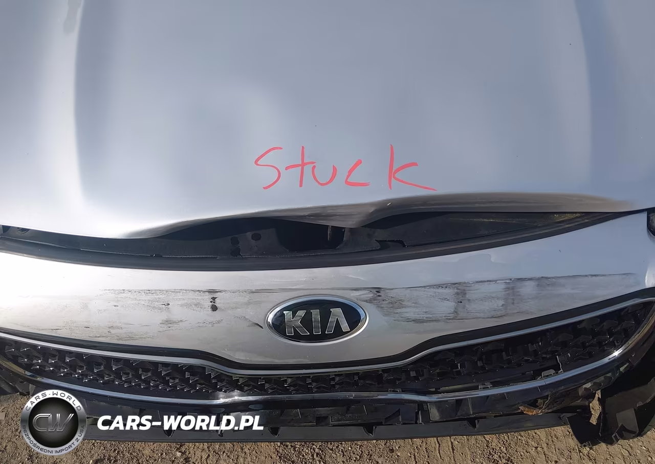 2017 Kia Sportage Lx VIN:KNDPMCAC8H7223306 - 10