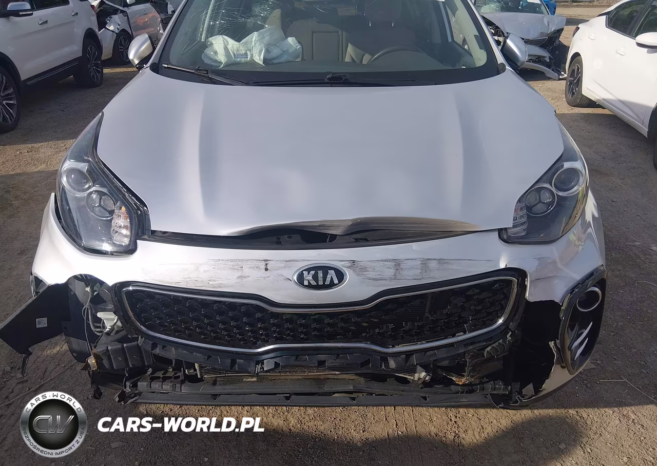 2017 Kia Sportage Lx VIN:KNDPMCAC8H7223306 - 6