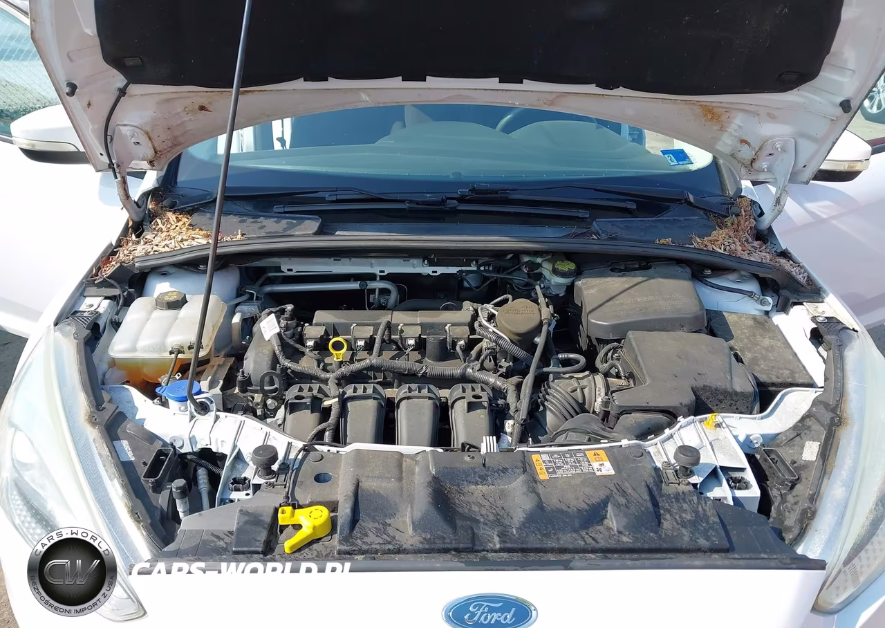 2016 Ford Focus Se VIN:1FADP3F21GL250384 - 10