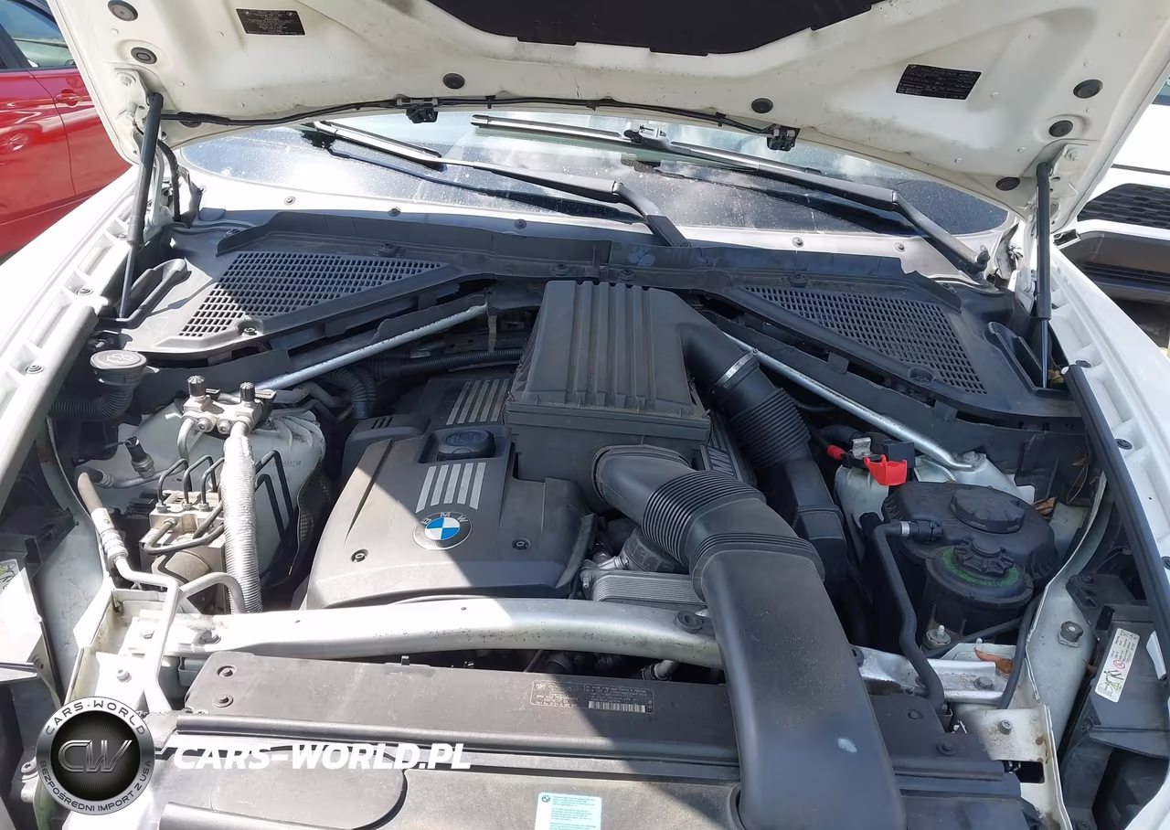 2009 BMW X5 xDrive30I VIN:5UXFE43519L268821 - 10