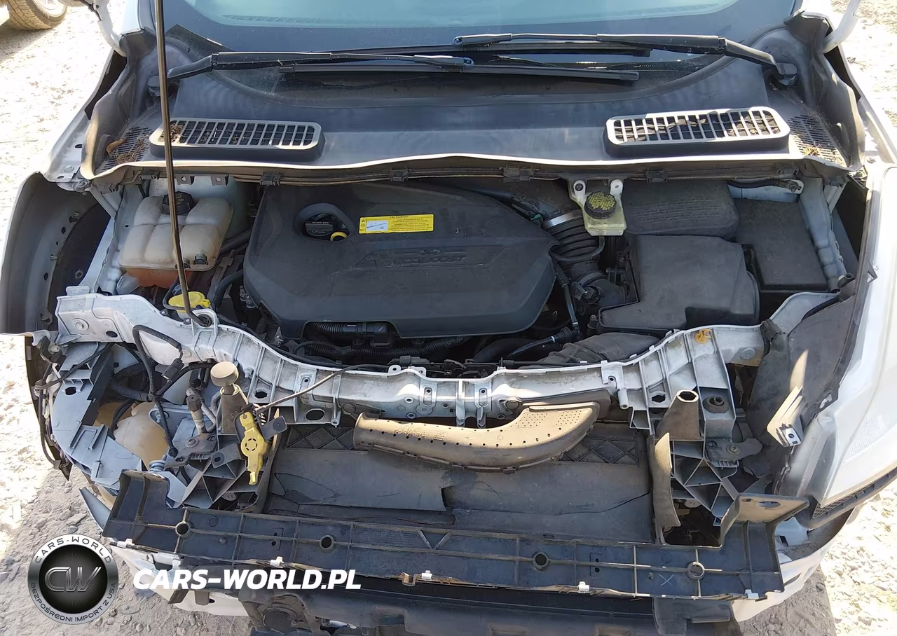 2015 Ford Escape Se VIN:1FMCU0GX9FUA73384 - 10