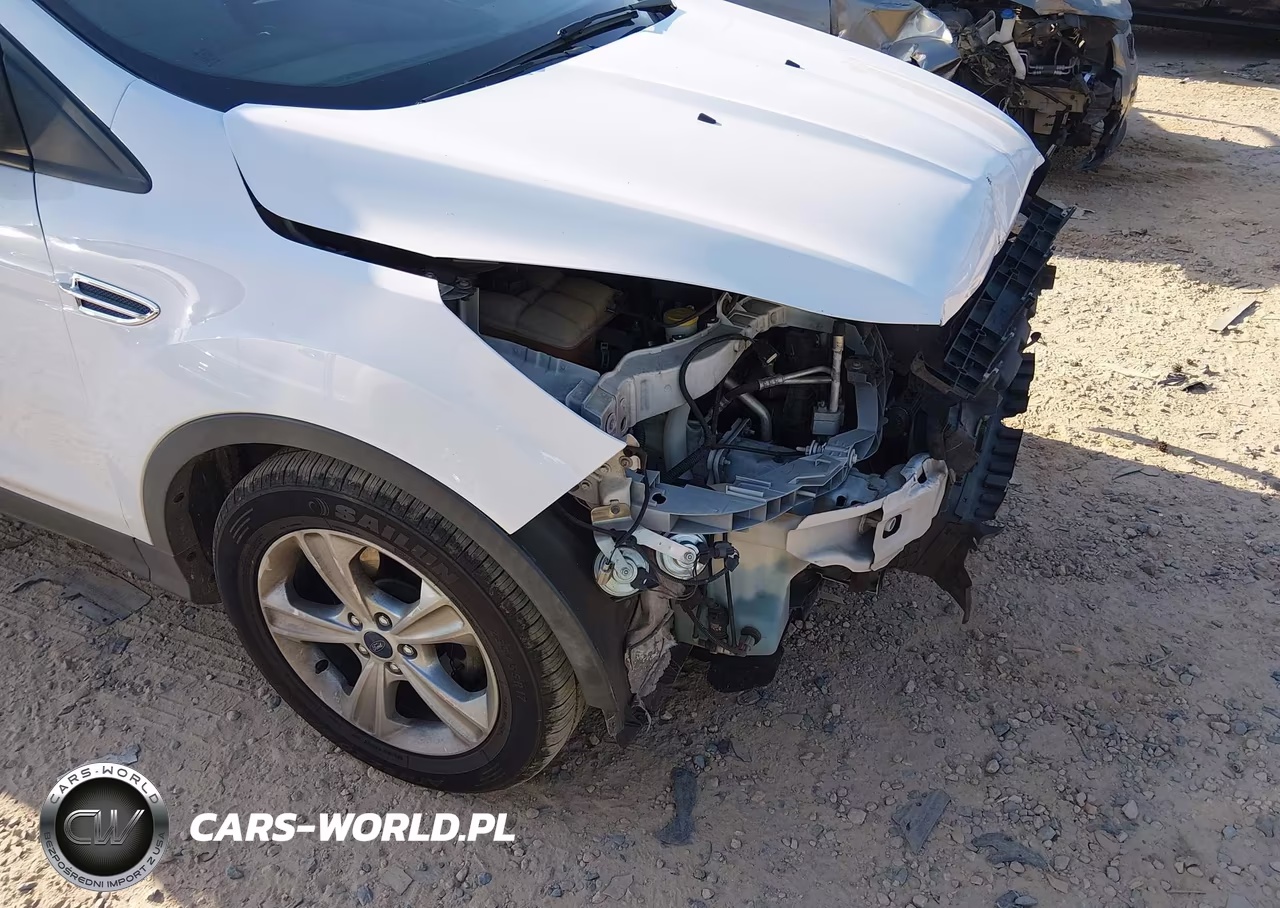 2015 Ford Escape Se VIN:1FMCU0GX9FUA73384 - 12