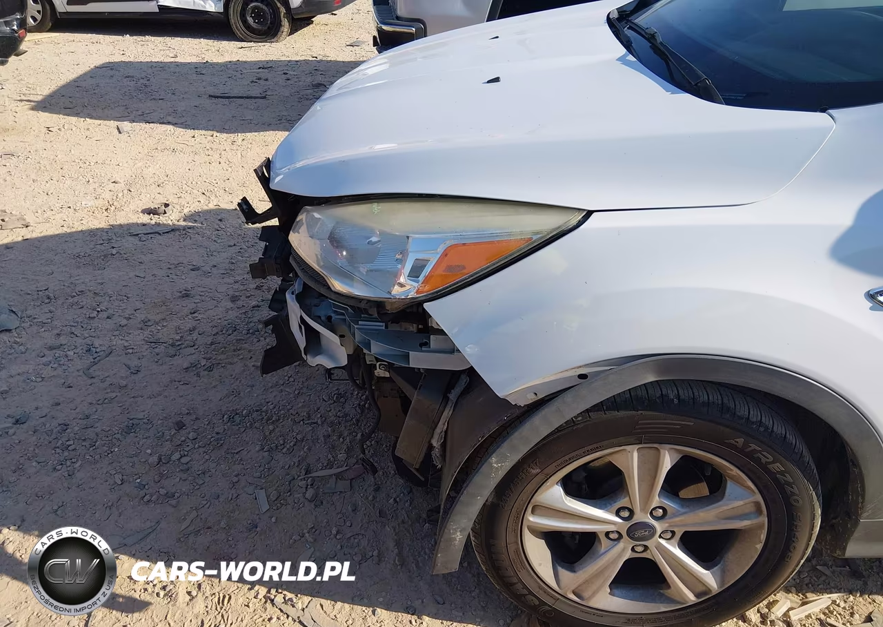 2015 Ford Escape Se VIN:1FMCU0GX9FUA73384 - 13