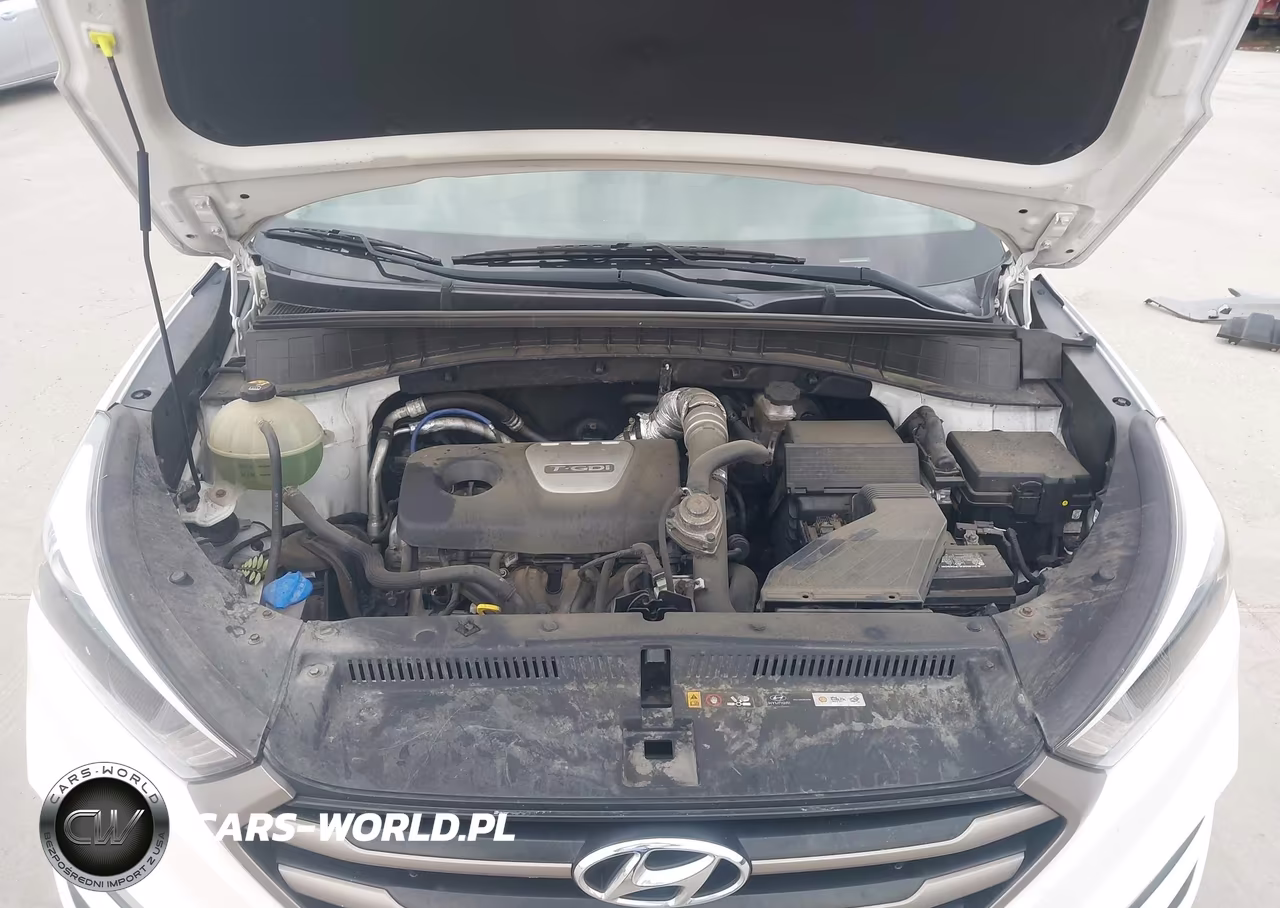 2016 Hyundai Tucson Eco VIN:KM8J3CA24GU233620 - 10