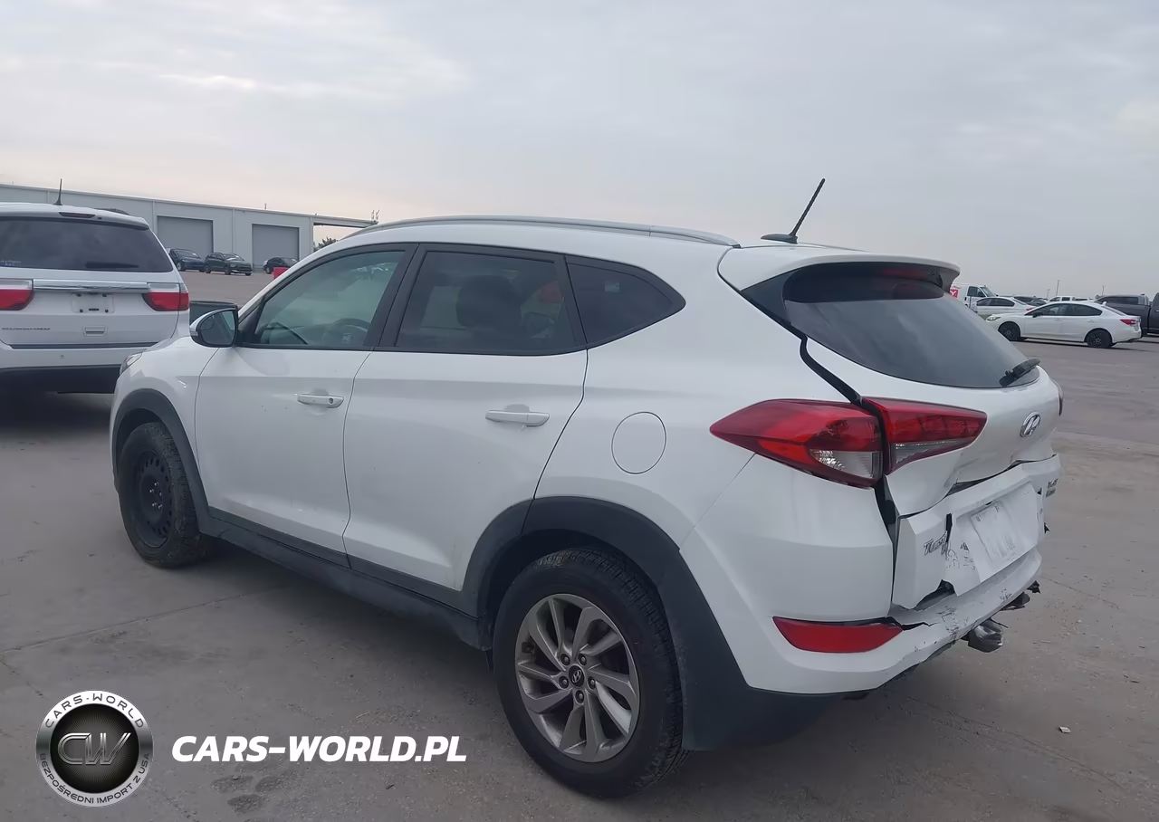 2016 Hyundai Tucson Eco VIN:KM8J3CA24GU233620 - 3