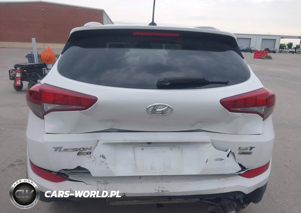 2016 Hyundai Tucson Eco VIN:KM8J3CA24GU233620 - 6