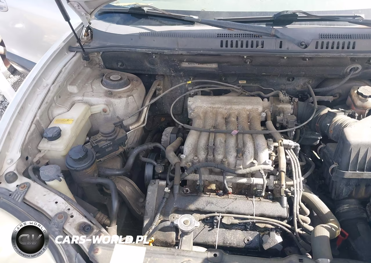 2003 Hyundai Santa Fe Gls-Lx VIN:KM8SC73D53U552321 - 10