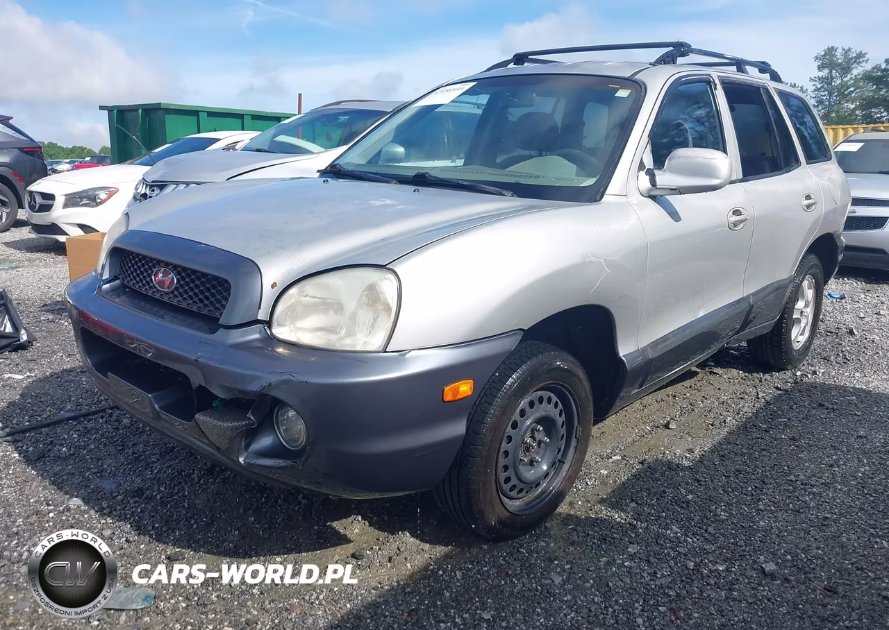 2003 Hyundai Santa Fe Gls-Lx VIN:KM8SC73D53U552321 - 2