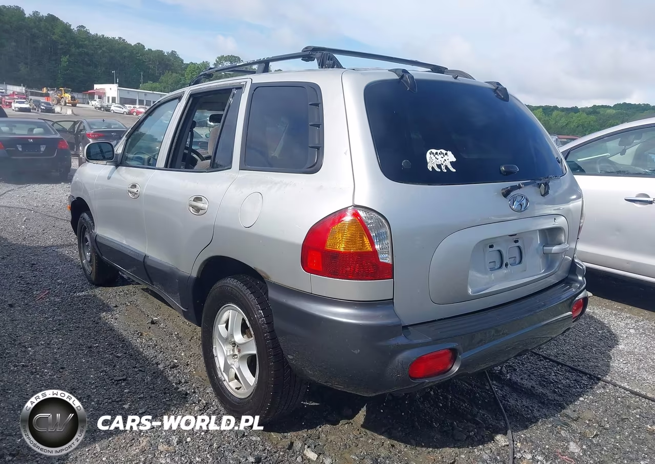 2003 Hyundai Santa Fe Gls-Lx VIN:KM8SC73D53U552321 - 3
