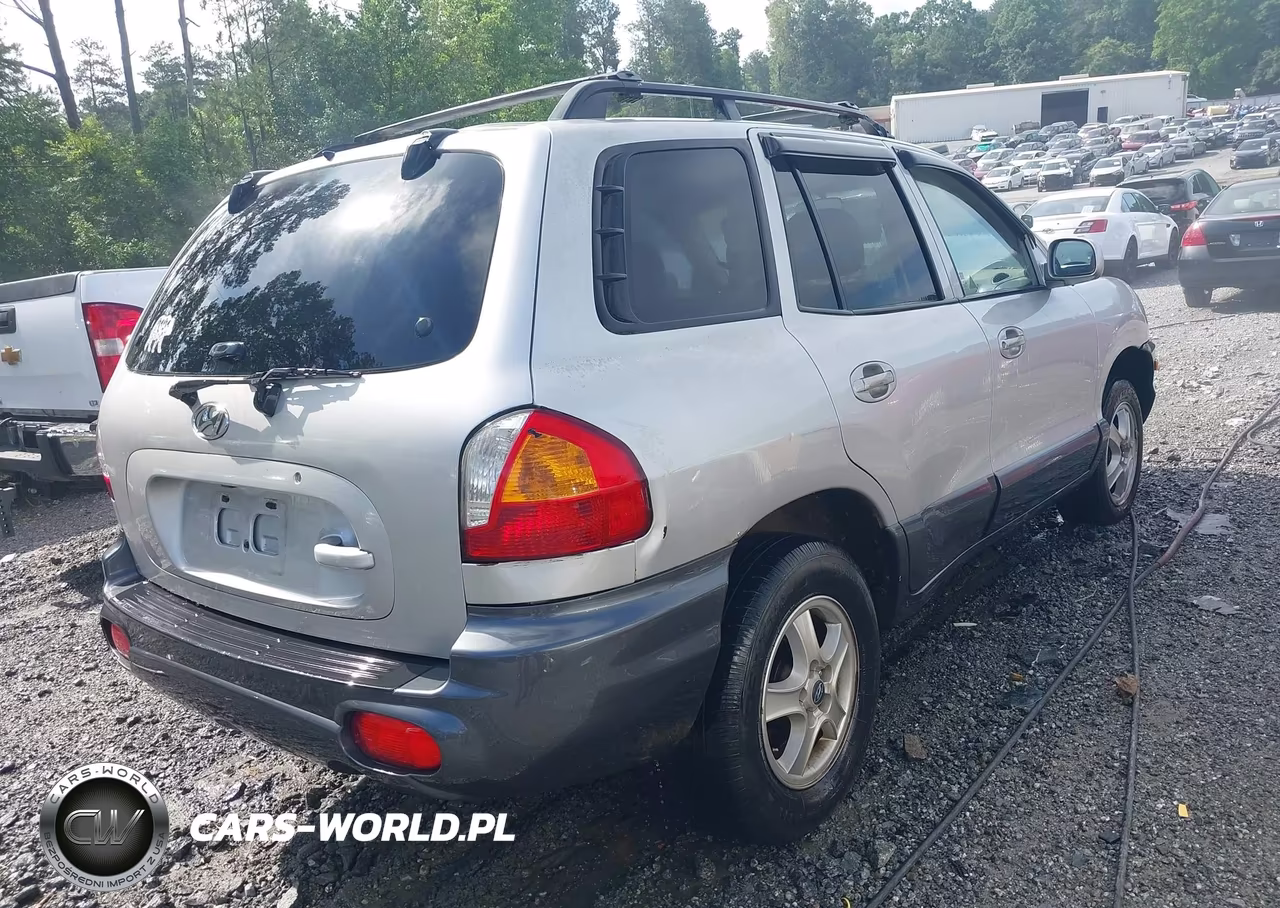 2003 Hyundai Santa Fe Gls-Lx VIN:KM8SC73D53U552321 - 4