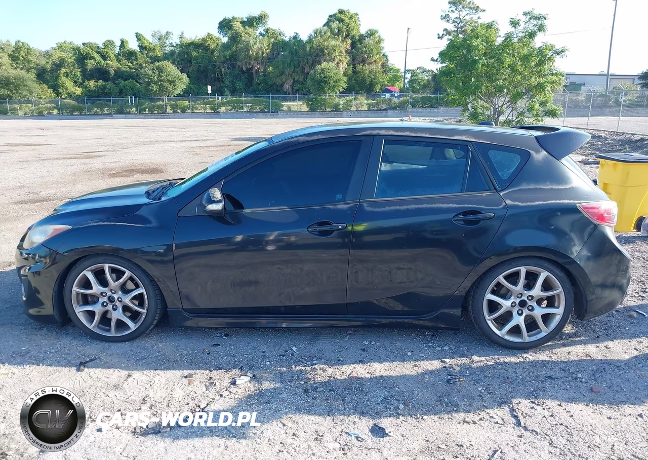 2010 Mazda Mazdaspeed3 Sport VIN:JM1BL1H31A1276820 - 14