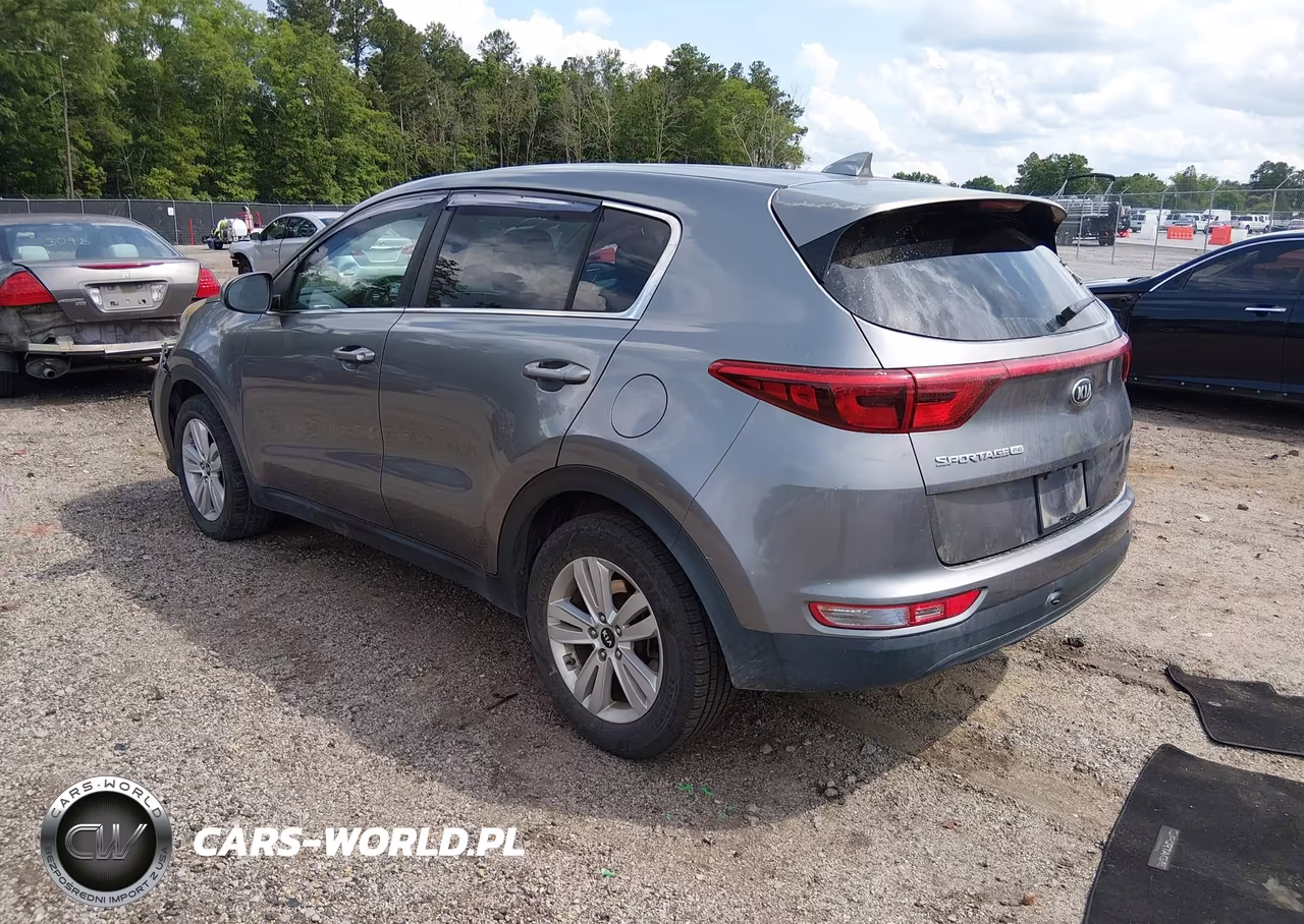 2019 Kia Sportage Lx VIN:KNDPM3AC2K7537654 - 3