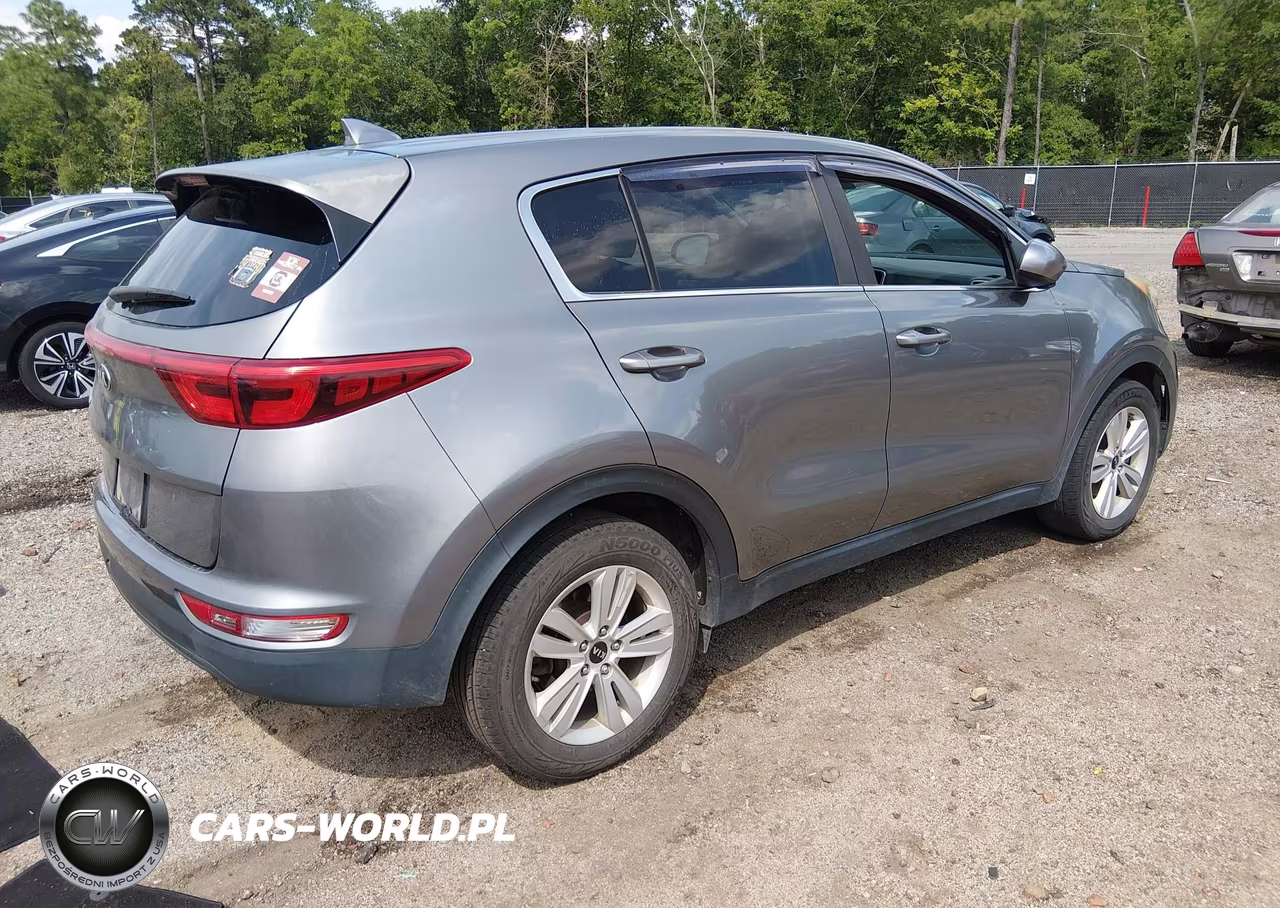 2019 Kia Sportage Lx VIN:KNDPM3AC2K7537654 - 4